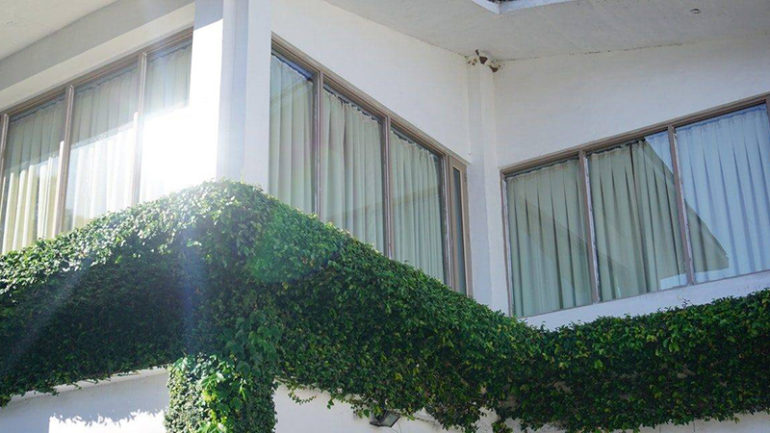 Panel Blinds Supply and Installation
